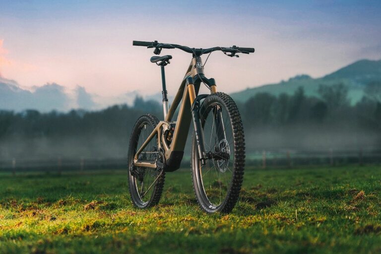 cliché d'un vtt electrique mondraker zendit moteur dji avinox en foret