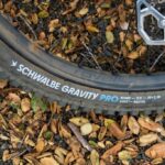 nouveau pneu schwalbe romy en foret sur une roue arrière