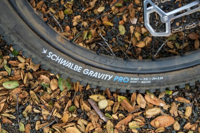 nouveau pneu schwalbe romy en foret sur une roue arrière