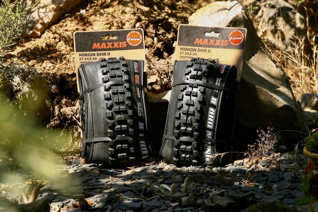 2 pneus maxxis en photo en foret
